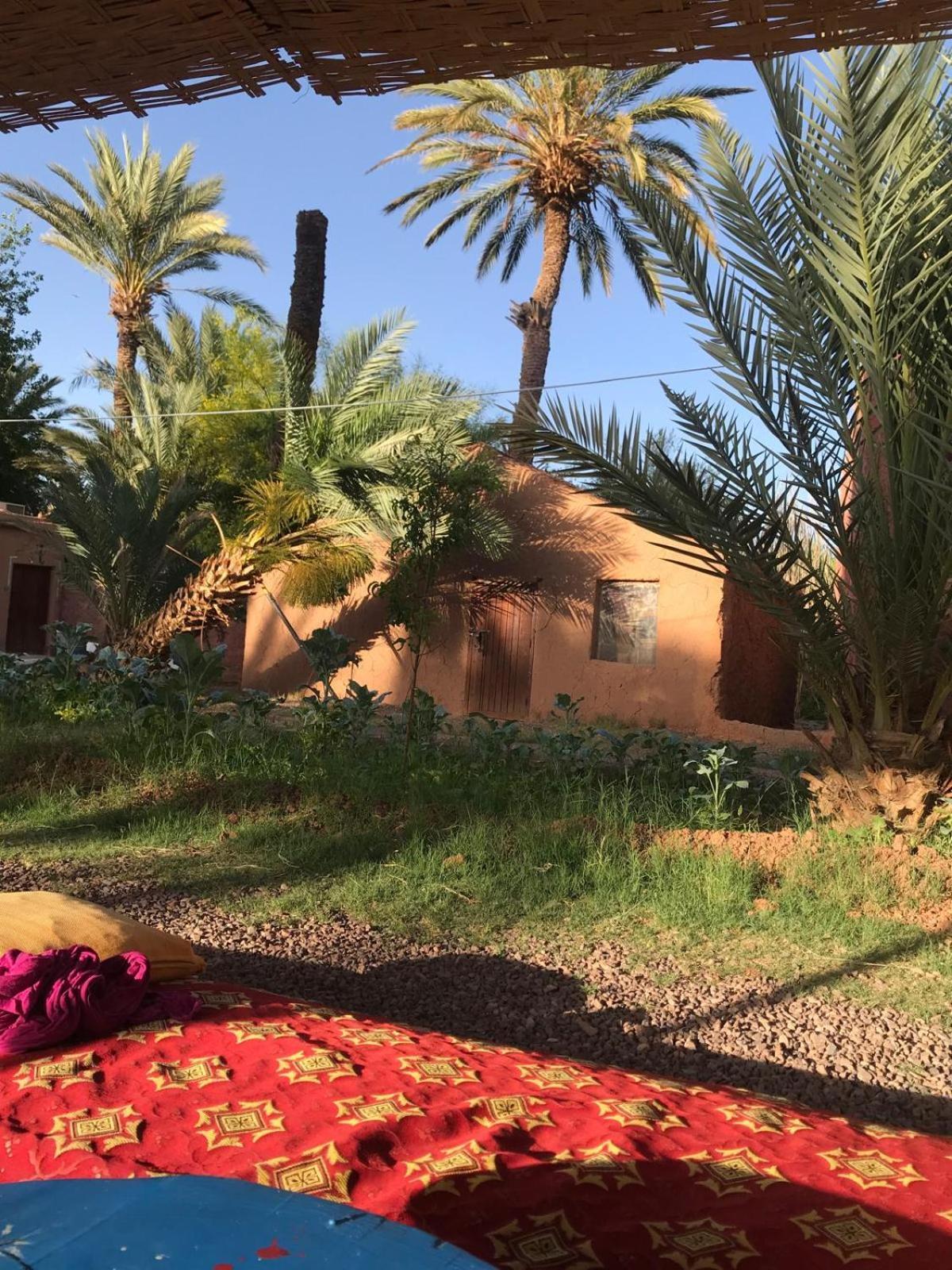 Bivouac Lot Of Stars Villa Ouarzazate Buitenkant foto